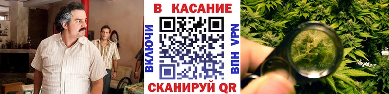 Все наркотики Заринск Кокаин OMG ТОР МАРИХУАНА А ПВП Амфетамин