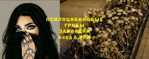 таблы Горнозаводск