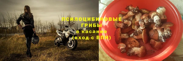 дживик Горно-Алтайск
